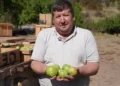 ANASAYFA