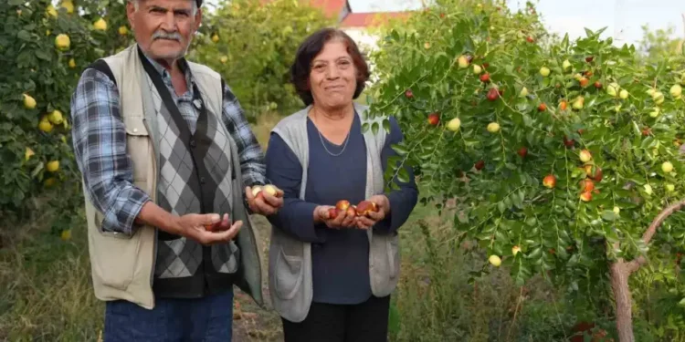 ANASAYFA